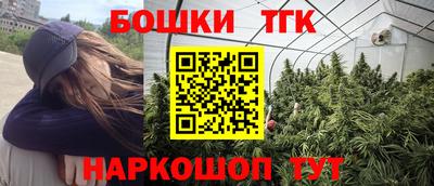 сатива Аргун