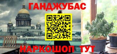 сатива Аргун