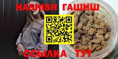сатива Аргун