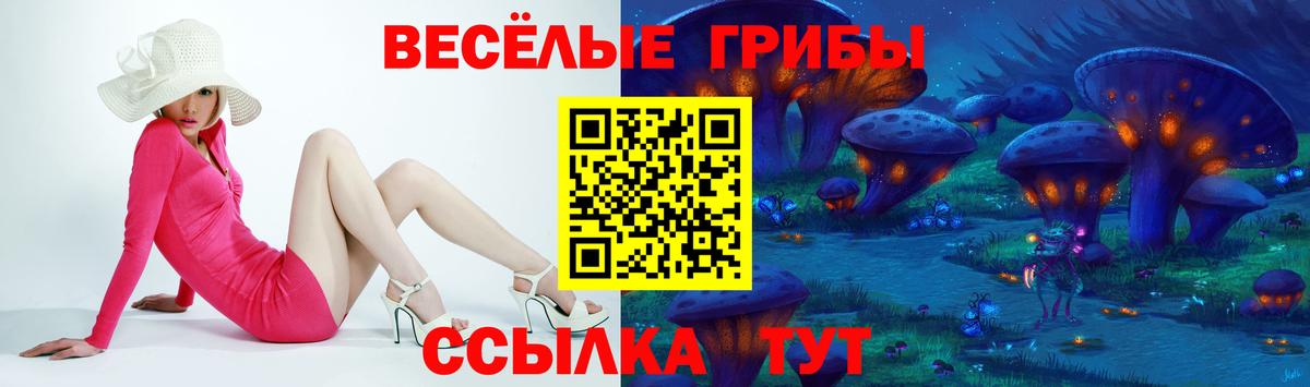 купить наркоту  Галлюциногенные грибы Cubensis  Вход с VPN  Архангельск 